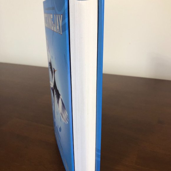 Mockingjay (The Hunger Games) Pre-Owned Book. - Picture 10 of 13